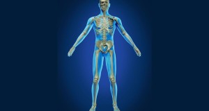 Five Tips for Building Up Your Bones