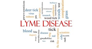 Under the Microscope: Lyme Disease
