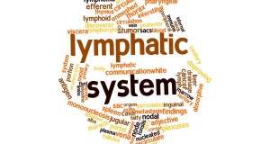 The Lymphatic System: Why It’s So Important