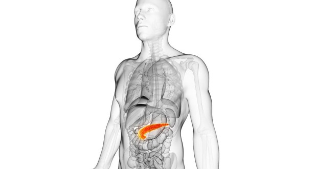 A Lethal Disease: Why Pancreatic Cancer is so Deadly