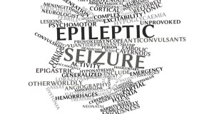 When the Brain Goes Haywire: A Look at Epilepsy