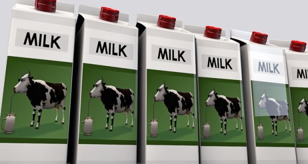 Rethinking Dairy: Does it Need to Be in Your Diet?
