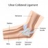 Anchoring the Elbow: The Role of the UCL