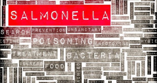 Are You at Risk of Salmonella Poisoning?