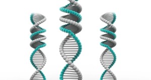 Why Genetics Can Influence Your Weight
