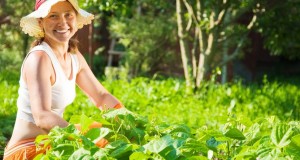Gardening With Arthritis: Ways to Keep Pain at Bay
