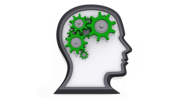 Can “Brain Training” Sharpen Your Mind?
