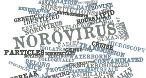An Uneasy Feeling: The Impact of Norovirus