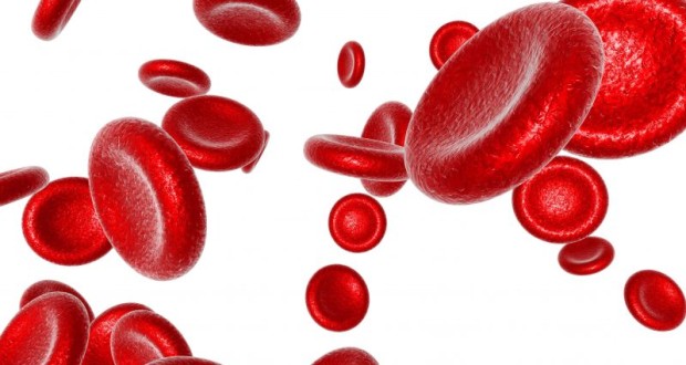 Is There A Connection Between Anemia and Dementia?