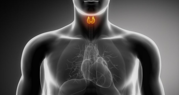 What’s Behind the Spike in Thyroid Cancer Rates?