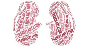 Kidney Transplants: How They Work