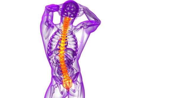 Cancers of the Spine: Effects and Treatments