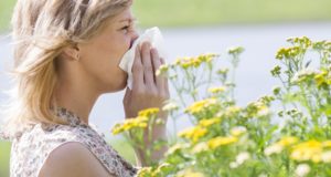 A Regional Guide for Fall Allergies