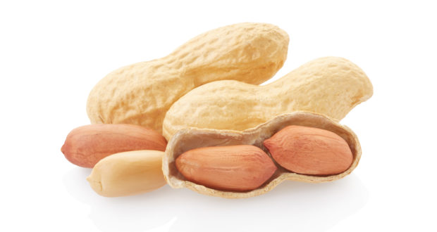 Searching for a Peanut Allergy Cure
